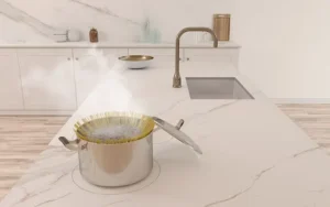 cooking surface prime canarias